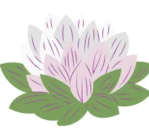 *NIEUW* Netwerkwandel-Strippenkaart